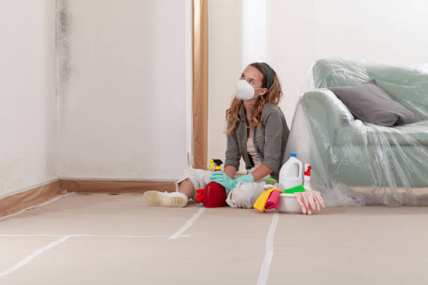 Reliable Mold Testing contractor in Gig Harbor, WA by WQB Mold Removal